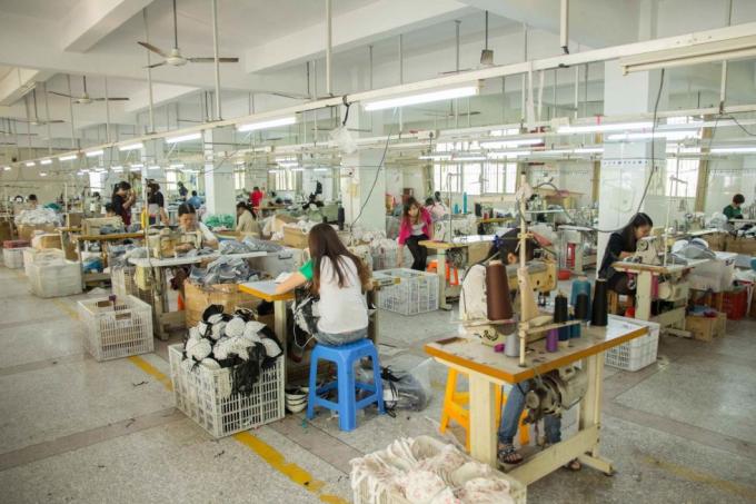 Sous-vêtements sexy de grande taille de vente chauds de haute qualité de ′ des dames Fioyia029