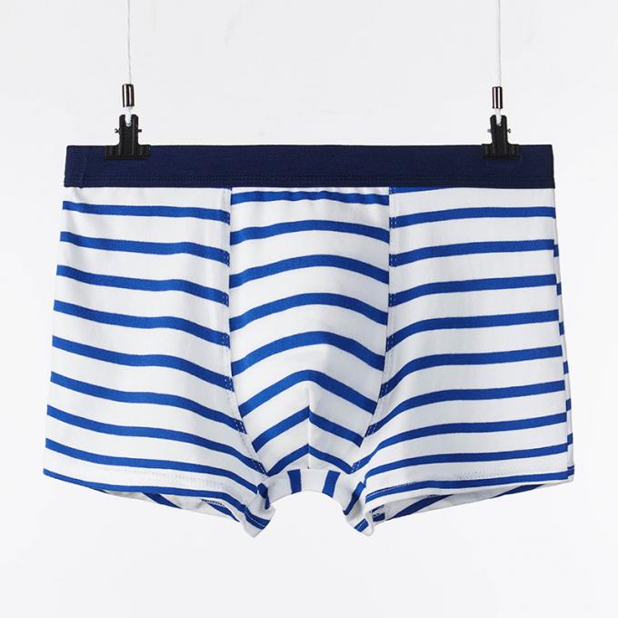 Les adultes purs sexy de dossiers de coton de sous-vêtements d'hommes de coton de XXXL 165kg 95kg barrent des sports 7