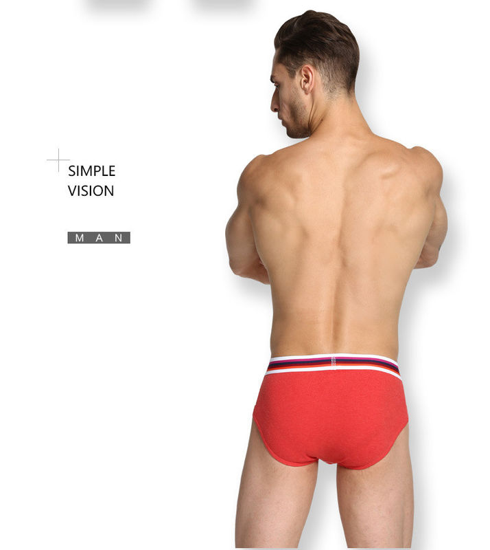 Le boxeur sexy des hommes peignés court-circuite les sous-vêtements purs du coton d'hommes verts de bikini