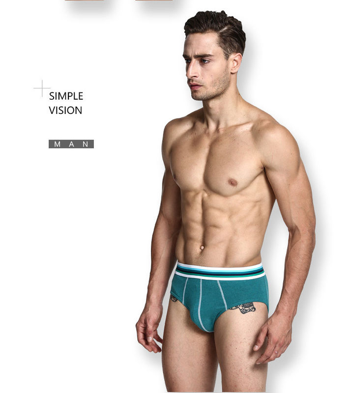 Le boxeur sexy des hommes peignés court-circuite les sous-vêtements purs du coton d'hommes verts de bikini