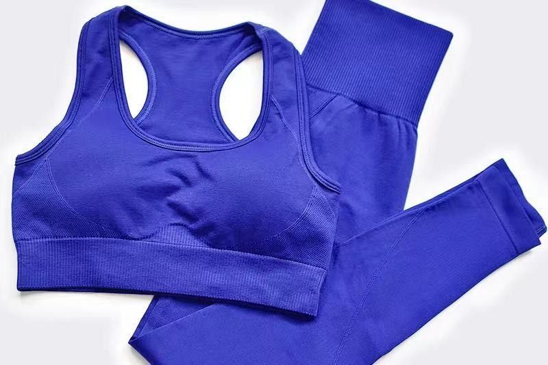 Les guêtres sans couture respirables de soutien-gorge de sports de yoga étirent de hautes guêtres de gymnase de Waisted de tissu